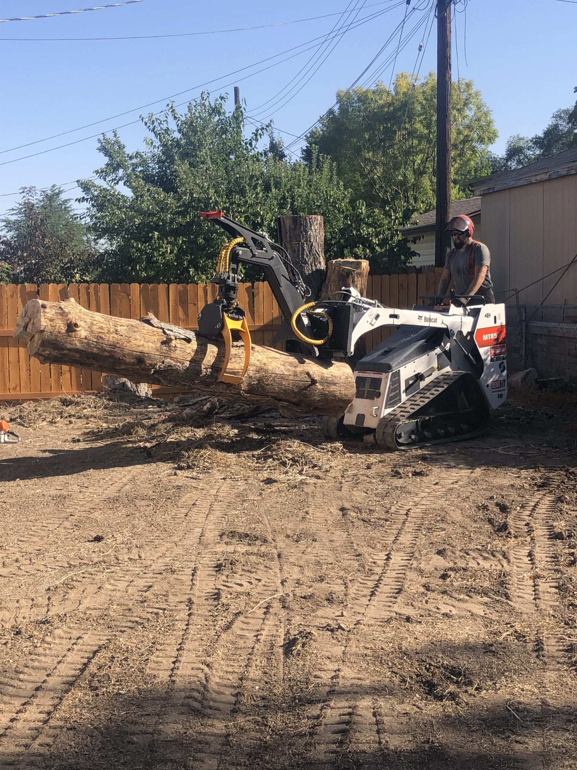 Ivester Tree | Tooele Utah | Big Log