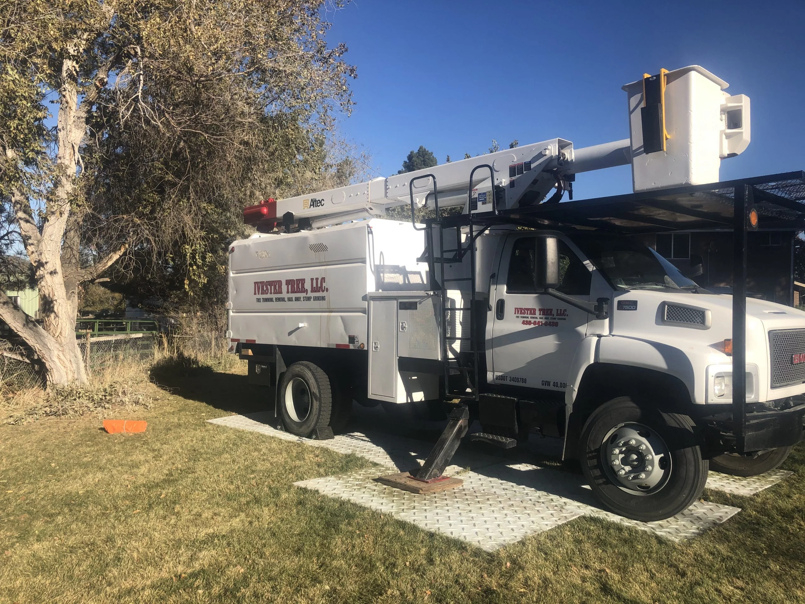 Ivester Tree | Tooele Utah | Cherry Picker