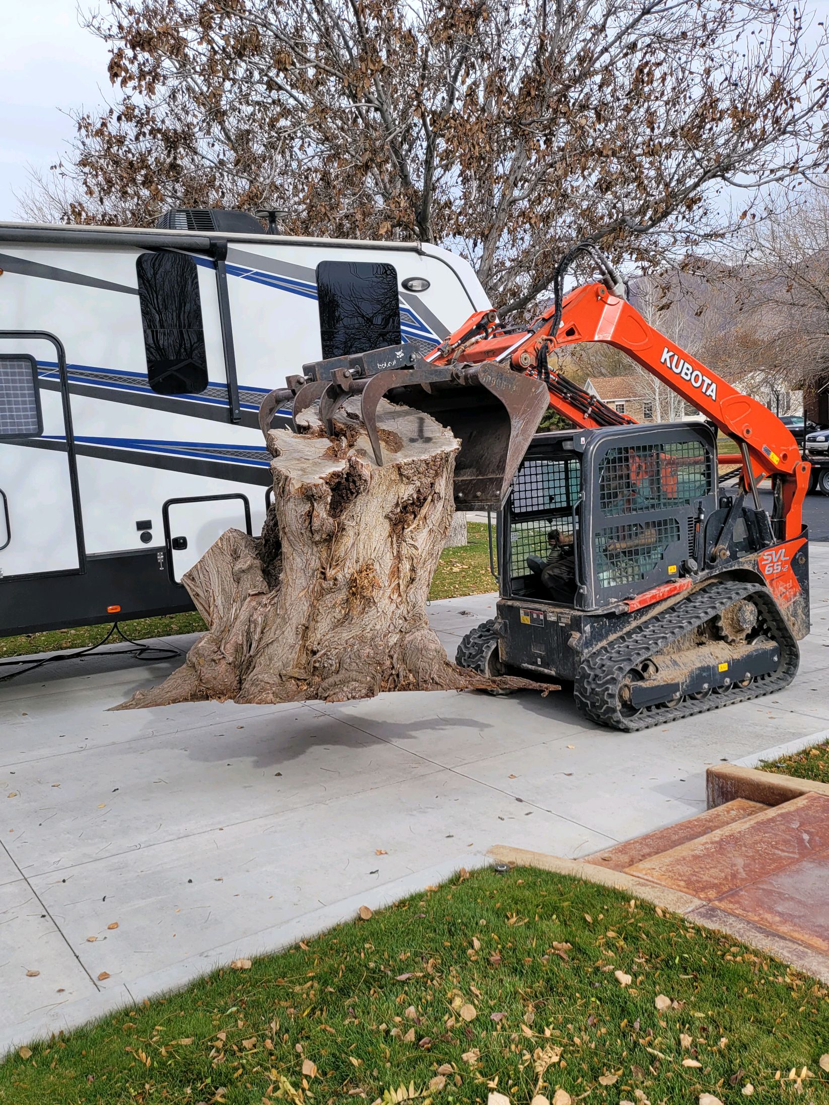 Ivester Tree | Tooele Utah | Kubota Holding Tree Stump